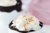 Instant Chocolate Coconut Paradise