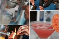 Pinnacle Mixology Elevated Tastes