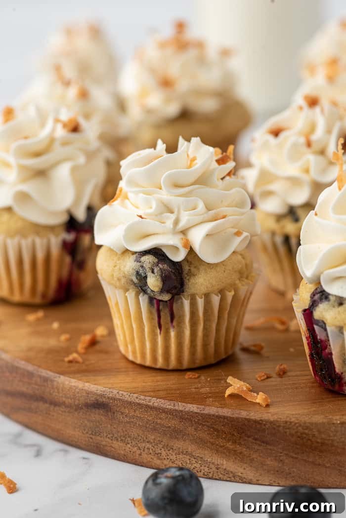 Mini Coconut Cupcakes with Blueberries