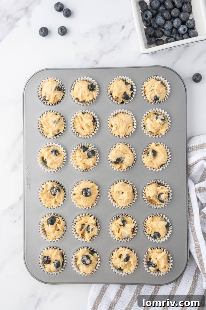 Baked Mini Coconut Cupcakes cooling