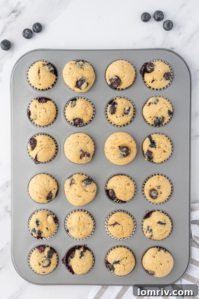 Mini Coconut Cupcakes with a hint of frosting