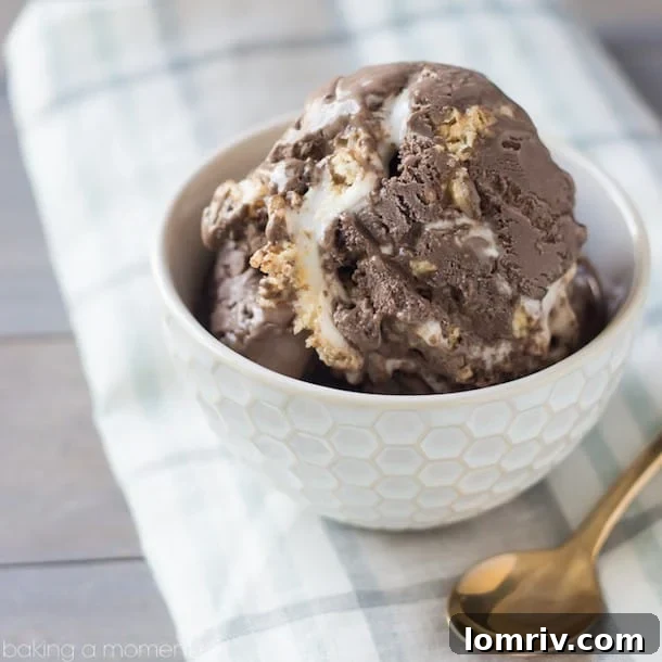 Rich Chocolate Marshmallow Rice Krispie Treat Ice Cream