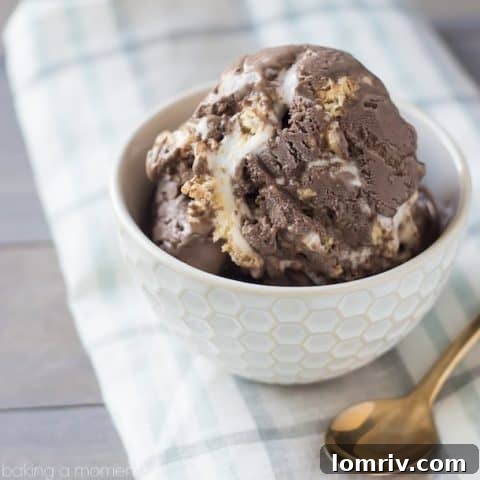 Chocolate Marshmallow Rice Krispie Treat Ice Cream
