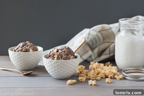 Scooped Chocolate Marshmallow Rice Krispie Treat Ice Cream