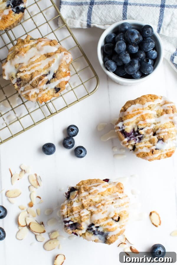 Blueberry Coffee Cake Muffins with streusel topping