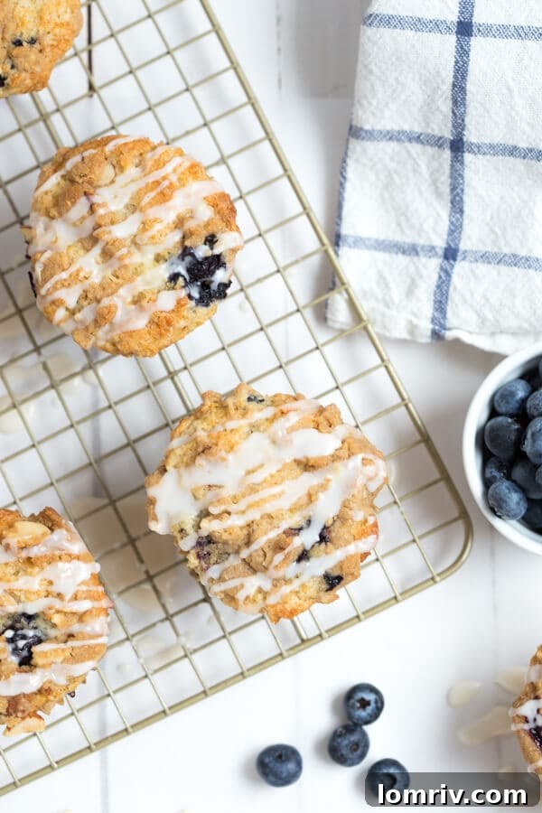 Blueberry Coffee Cake Muffins with almond streusel
