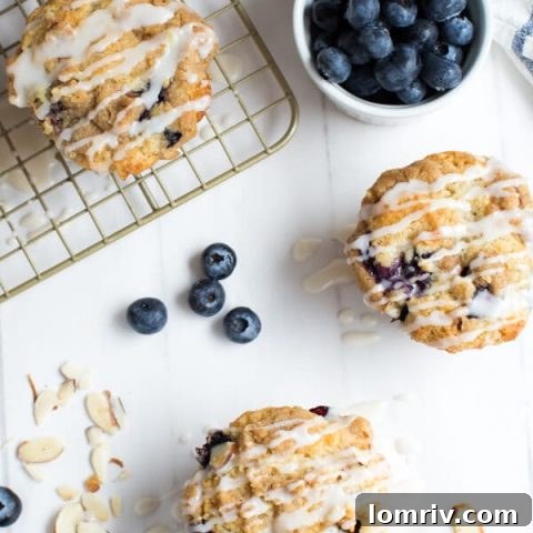 Blueberry Coffee Cake Muffins