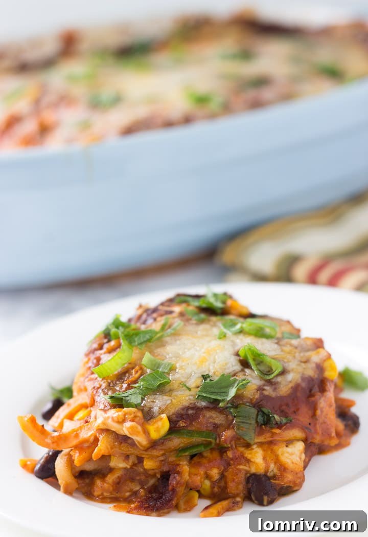 Spiralized Sweet Potato and Apple Enchilada - Warm and Cheesy