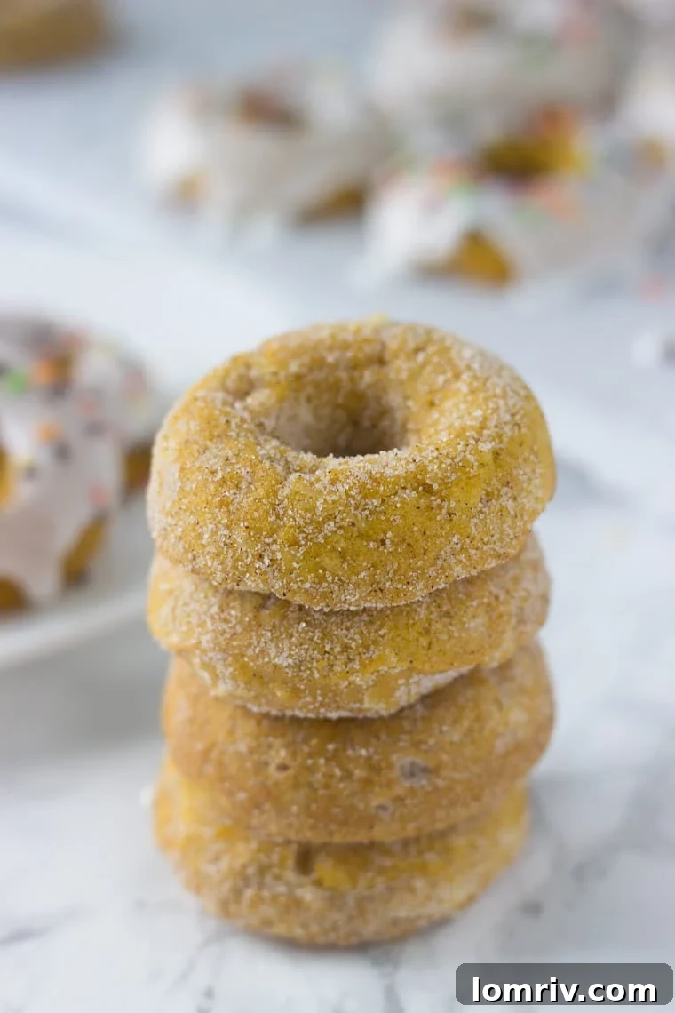 Baked Pumpkin Donuts with Cinnamon Sugar