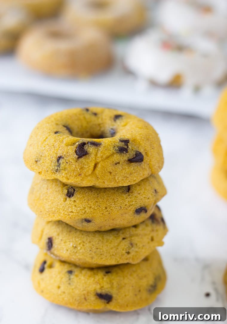 Baked Pumpkin Chocolate Chip Donuts with Apple Cider Glaze