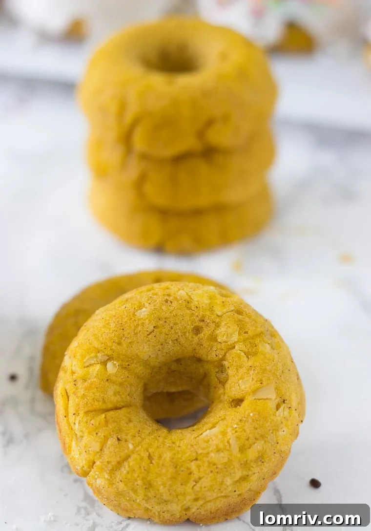 Baked Pumpkin Coconut Donuts