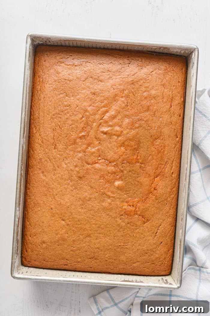 The baked pumpkin cake, golden and risen.