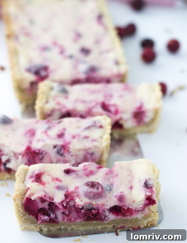 A single, perfectly cut slice of the Cranberry Hazelnut Cream Cheese Tart, showcasing its layered texture and inviting richness, ready for serving.