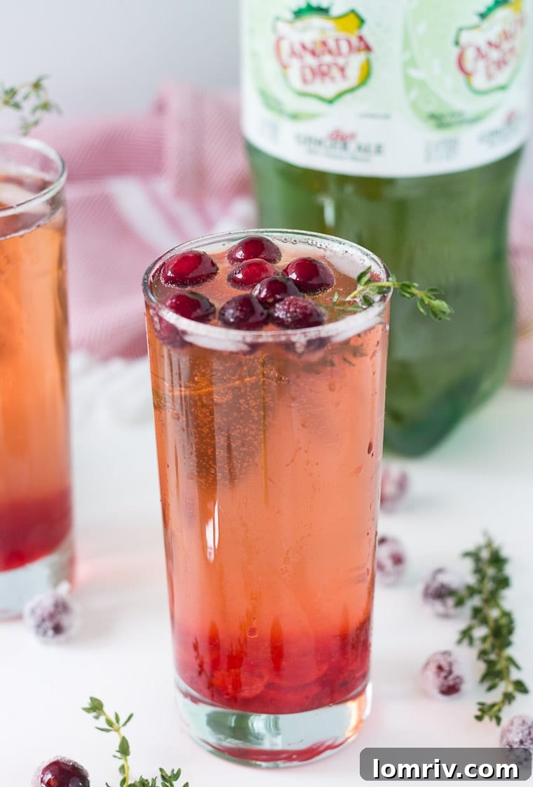 Hosting with Cranberry Thyme Sparklers - DIY Cocktail Bar