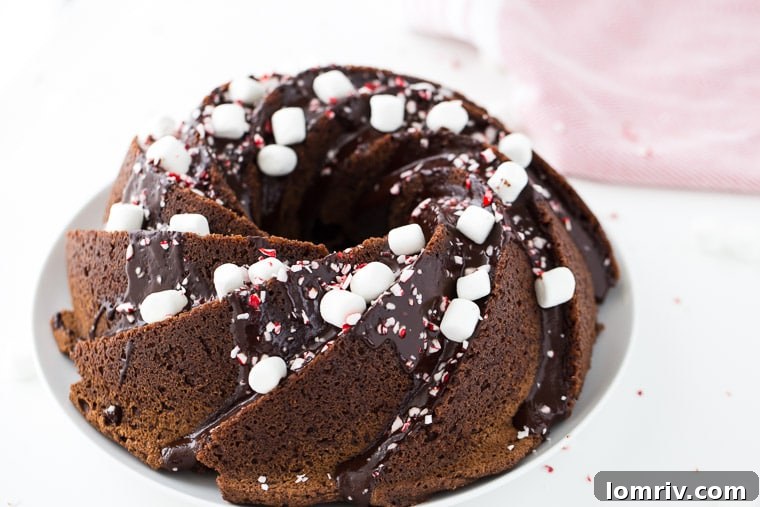A decadent peppermint hot chocolate bundt cake this is winter perfect and a holiday season delight.
