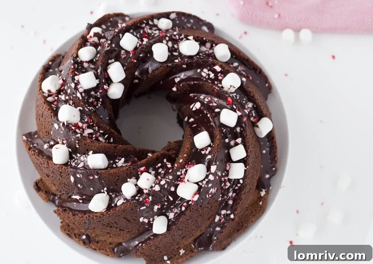 A decadent peppermint hot chocolate bundt cake this is winter perfect and a holiday season delight.