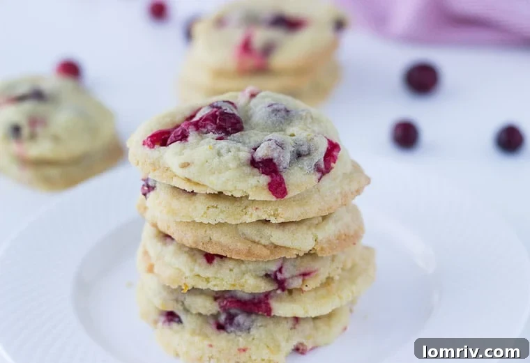 Bright and zesty Cranberry Orange Vanilla Sugar Cookies, a burst of fresh flavor for the holidays.