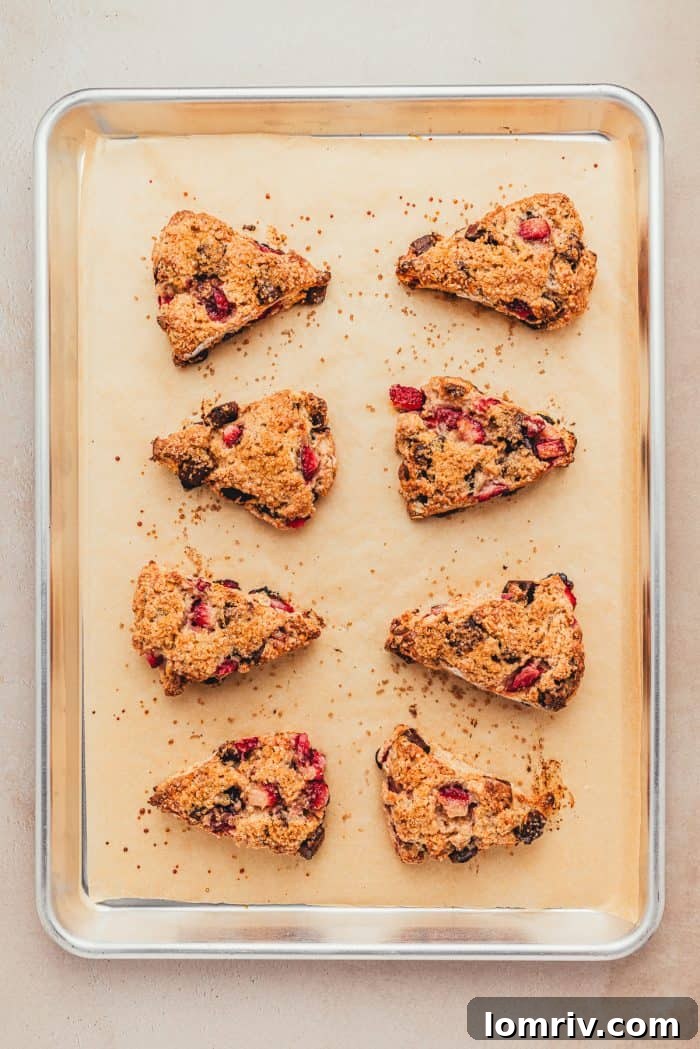 The baked scones on parchment paper on a baking sheet.