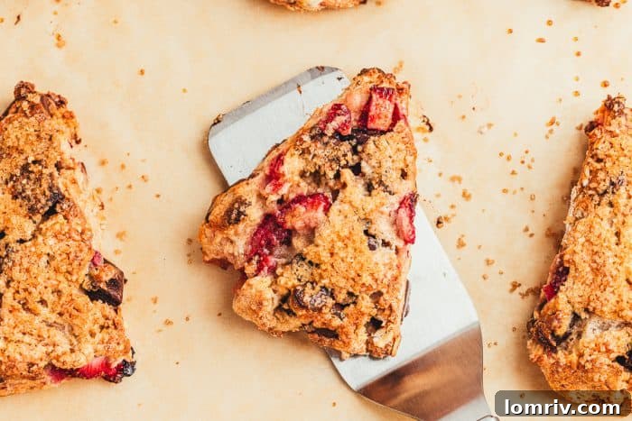 A chocolate strawberry scones on a spatula with a few other scones. 