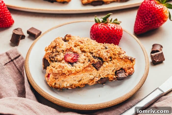A chocolate strawberry scones on a white plate with chocolate chunks around it and fresh strawberries.