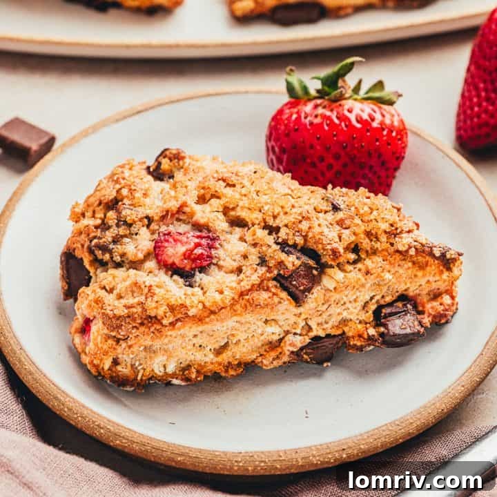 A chocolate strawberry scones on a white plate with chocolate chunks around it and fresh strawberries.
