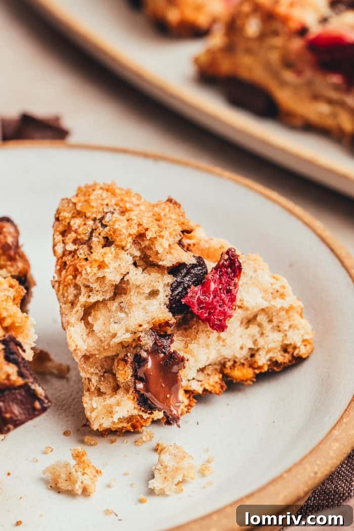 A chocolate strawberry scones on a white plate with chocolate chunks around it and fresh strawberries.