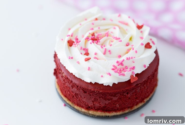 Mini Red Velvet Cheesecake - rich and creamy recipe