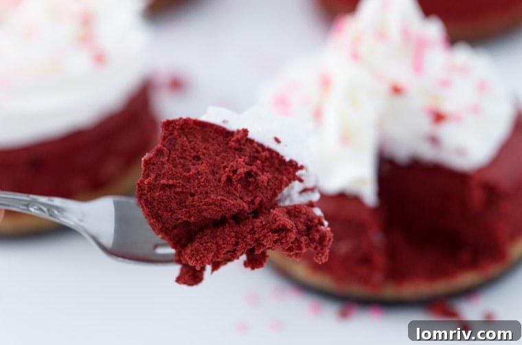 Mini Red Velvet Cheesecake - rich and creamy recipe