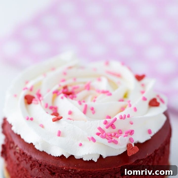 Mini Red Velvet Cheesecake - rich and creamy recipe