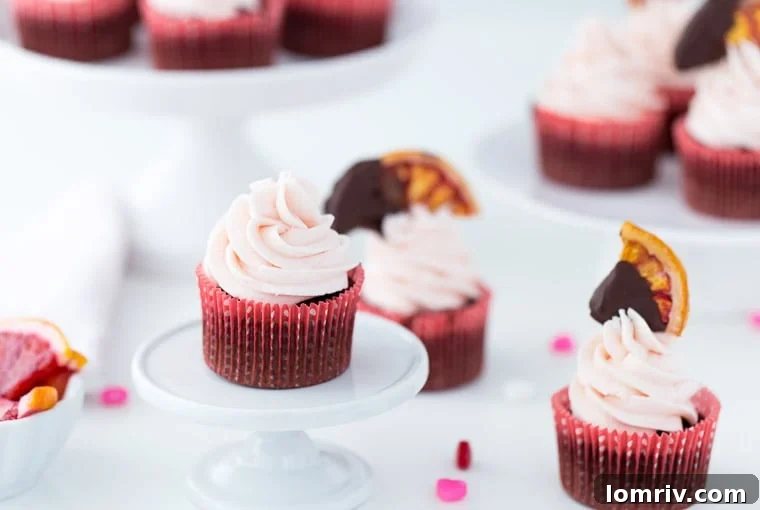 A close-up shot of two Blood Orange Chocolate Cupcakes, revealing the delicate texture of the chocolate cake and the swirl of pinkish-orange buttercream, ready for garnishing.