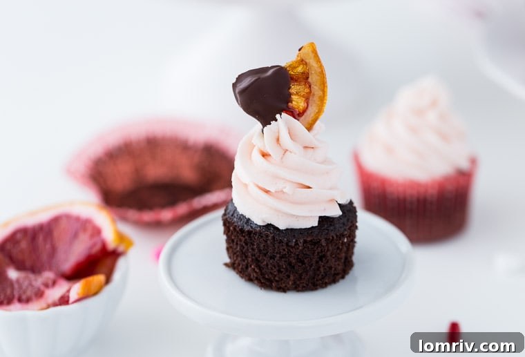 Blood Orange Chocolate Cupcakes arranged on a serving platter, showing the delectable chocolate cake texture, rich blood orange frosting, and elegant candied orange garnish.