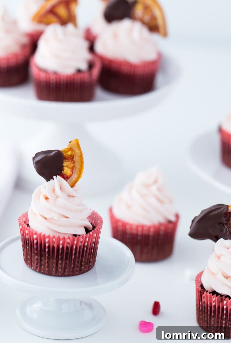 Decadent Blood Orange Chocolate Cupcakes with a swirl of orange buttercream and a candied blood orange slice, perfect for a special treat.