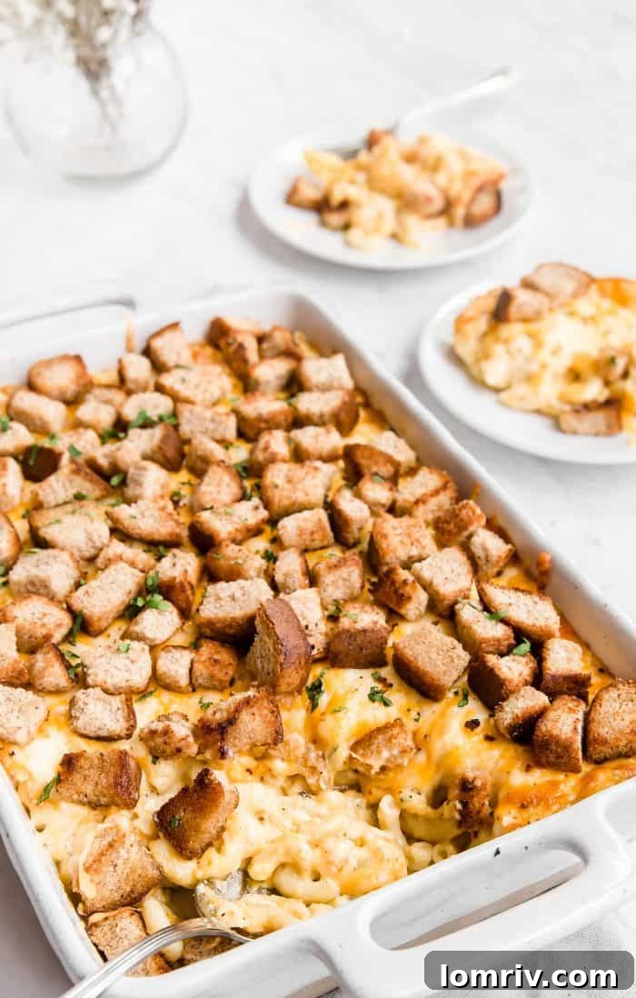 Close-up of bubbling Spicy Macaroni and Cheese with melted cheese and visible spice flecks, ready to be topped with croutons.
