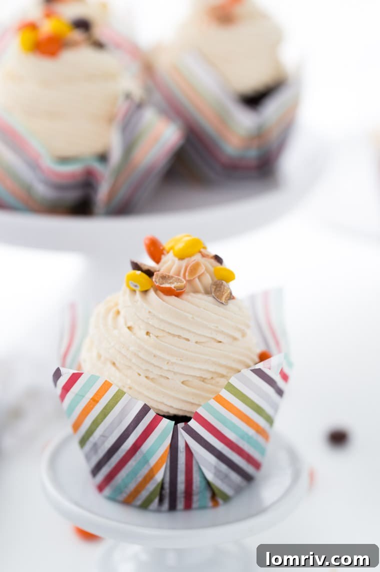 Beautifully frosted chocolate peanut butter cupcakes, garnished and ready to be served at any occasion.