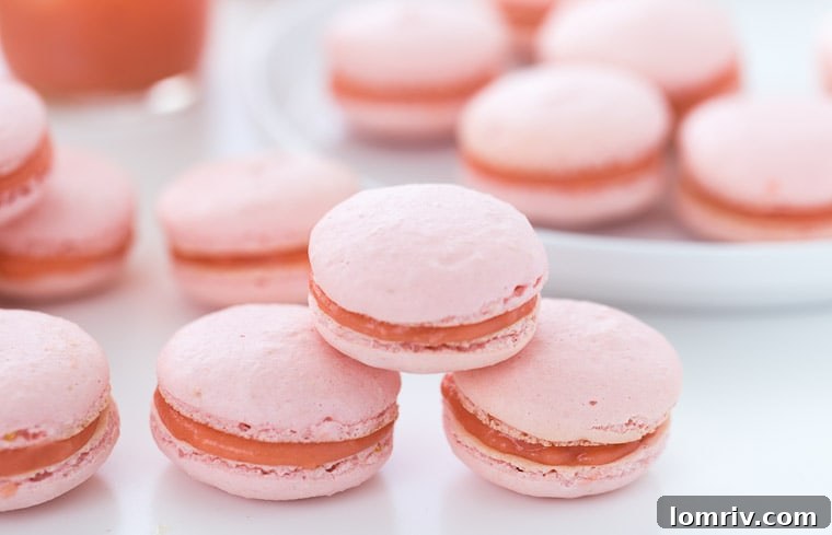 A vibrant close-up of delicate grapefruit macarons, featuring a smooth grapefruit curd filling and a dusting of powdered sugar, ready to be enjoyed.
