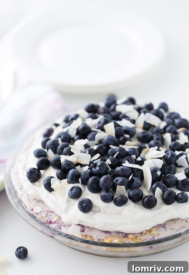Delicious no-bake Blueberry Coconut Ice Cream Pie with a crunchy almond gluten-free crust and creamy coconut ice cream, topped with homemade blueberry sauce, perfect for summer.
