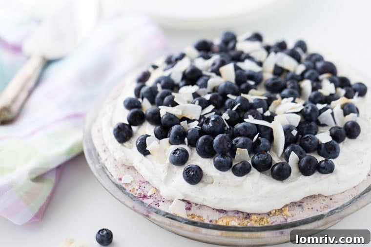 A perfectly scooped slice of Blueberry Coconut Ice Cream Pie, highlighting the thick layers of creamy coconut ice cream and glistening blueberry sauce over the almond crust.