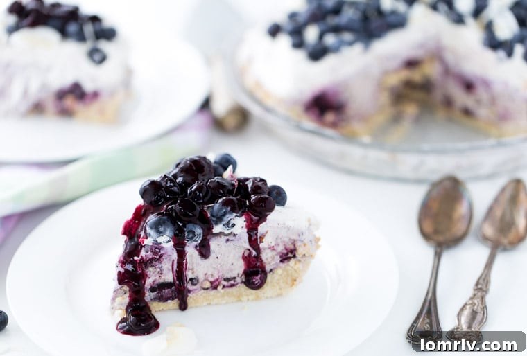 A top-down view of the whole Blueberry Coconut Ice Cream Pie, garnished with fresh blueberries and toasted coconut flakes, ready for a summer party.