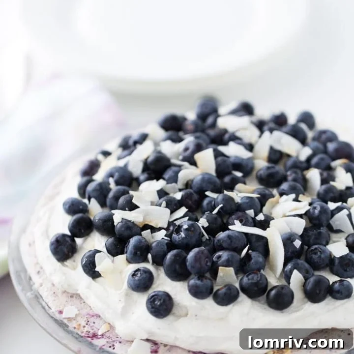Blueberry Coconut Ice Cream Pie