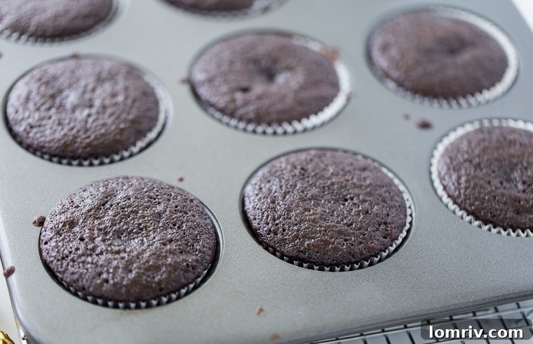 Baked Ferrero Rocher cupcakes, ready for frosting.