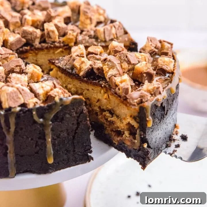 Peanut butter snickers cheesecake