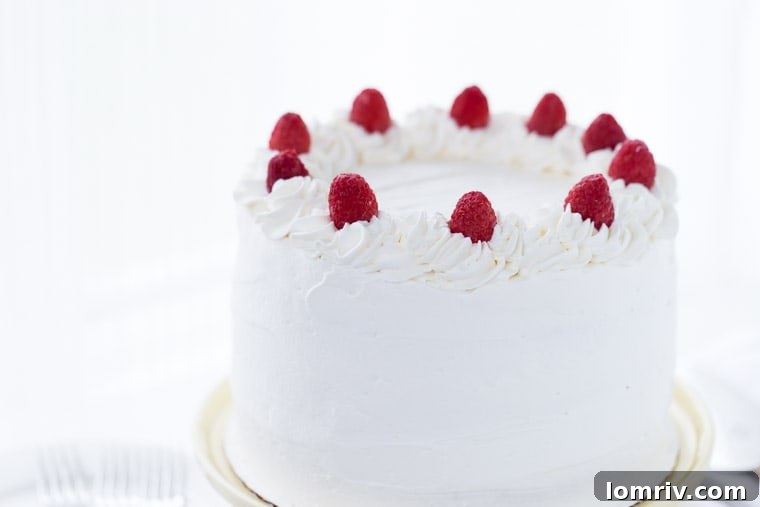 Close-up of Fluffy Coconut Raspberry Cake with Cream Frosting