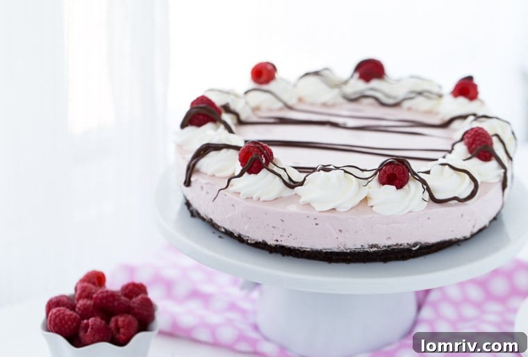 An easy no-bake Raspberry Greek Yogurt Cheesecake with chocolate crust and fresh raspberry. 