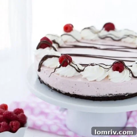 Raspberry Greek Yogurt Cheesecake