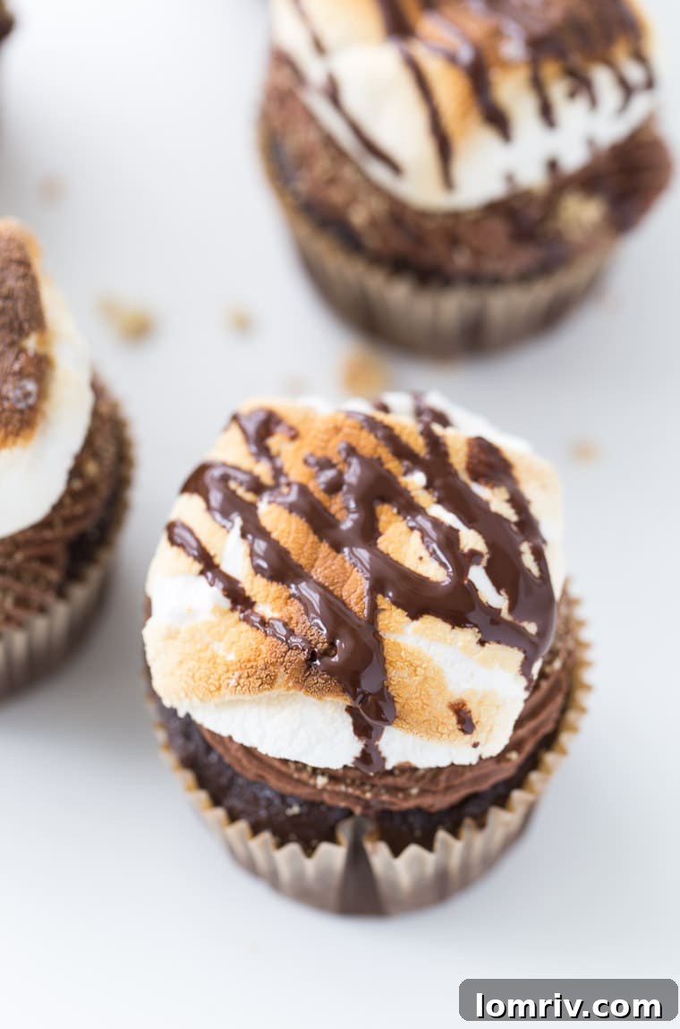 Smores Cupcakes - A Delicious Summer Dessert