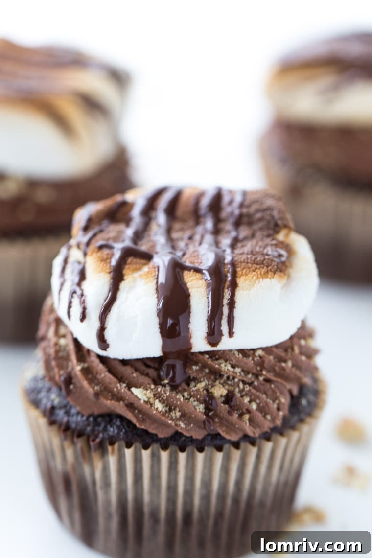Moist Chocolate Smores Cupcakes