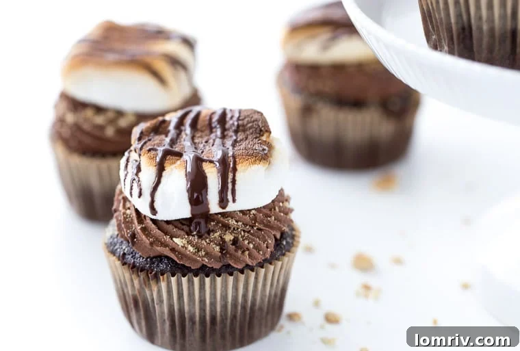 Smores Cupcakes Recipe Ingredients