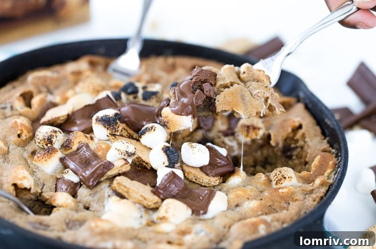 Skillet S'mores Cookie - A gooey, chocolatey dessert in a cast iron pan, topped with toasted marshmallows.