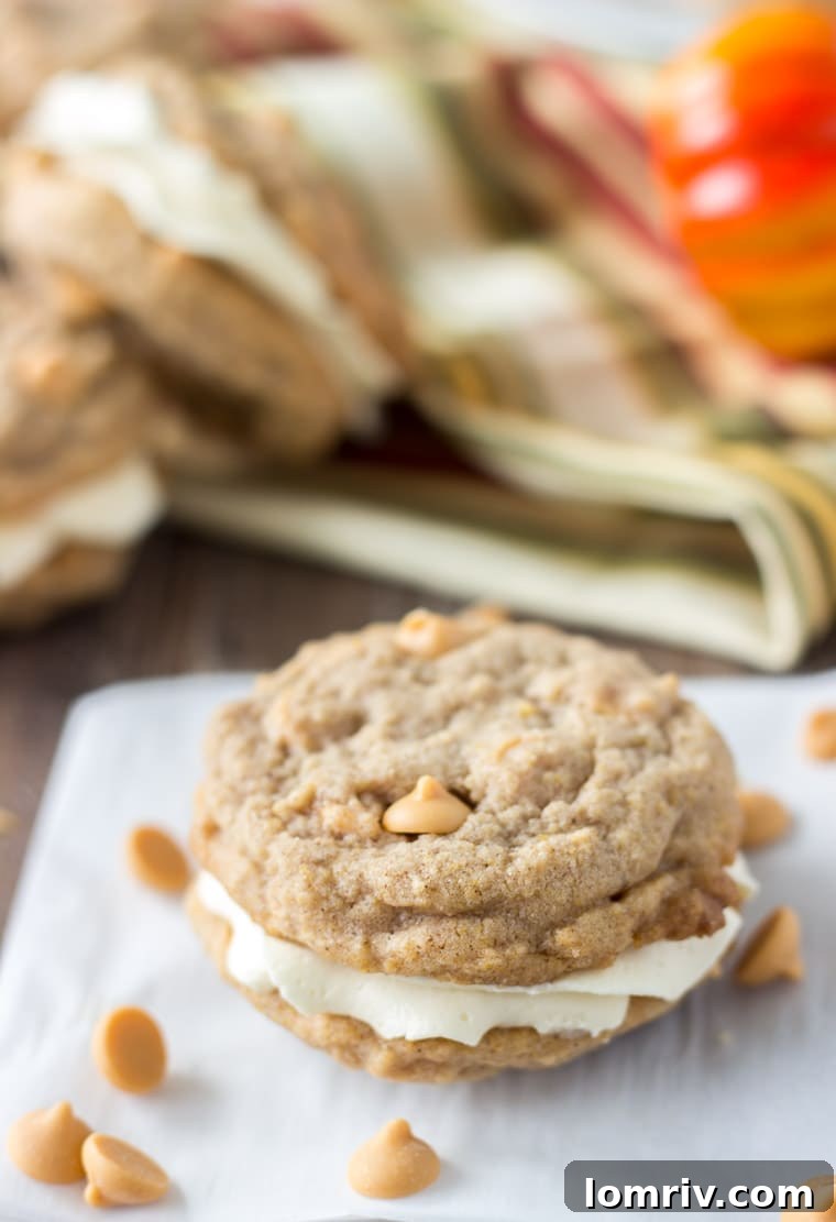 Pumpkin Butterscotch Cookie Sandwich-2