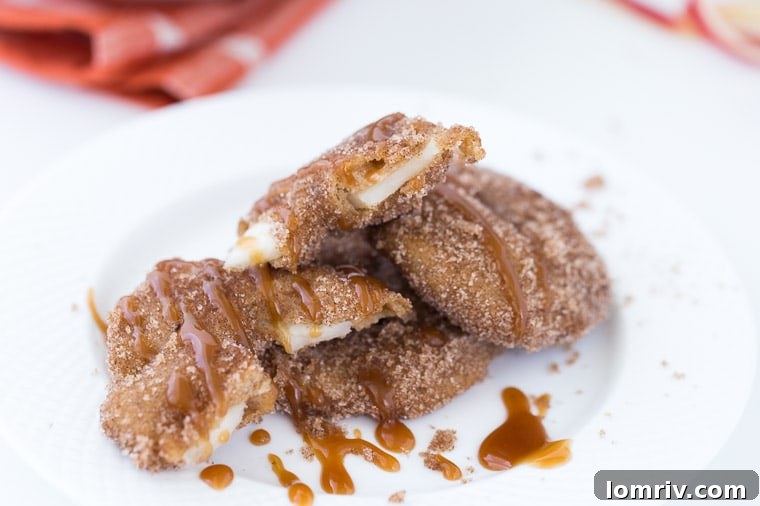 This homemade apple fritters recipe promises a delicious experience, with a perfect crisp outside and a sweet, gooey inside.